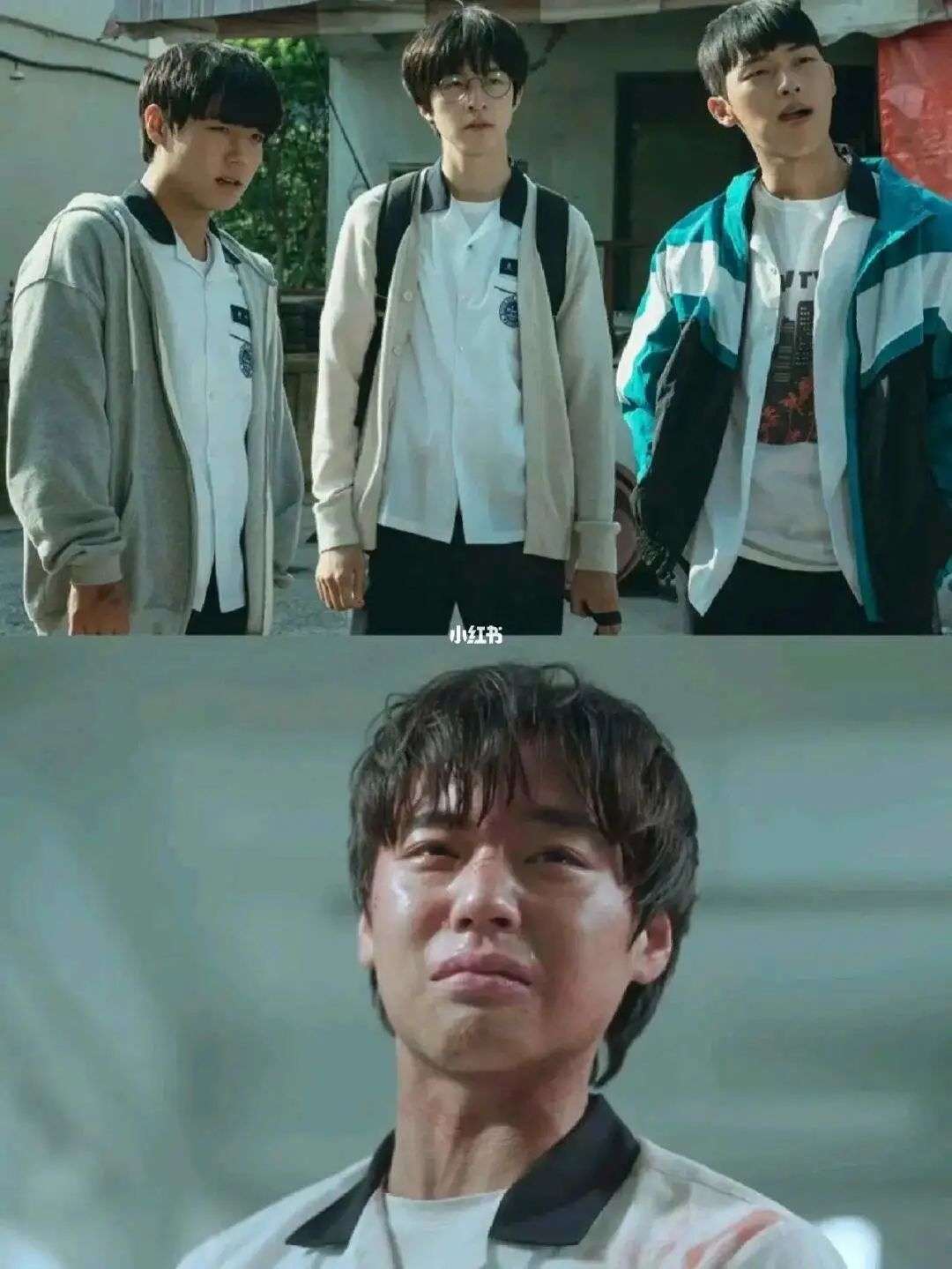点击查看图片来源