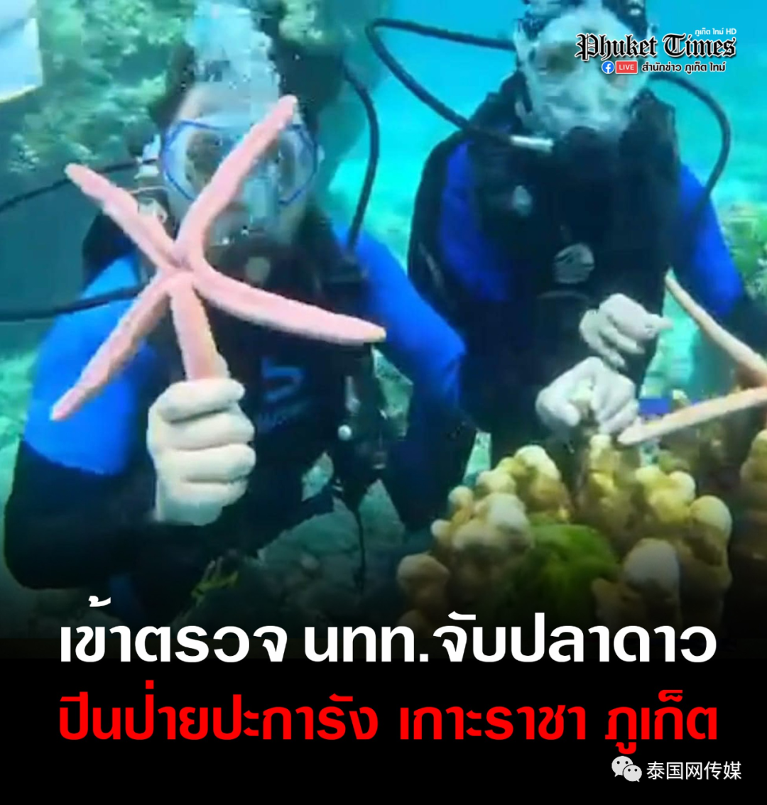 31岁中国游客在泰国浮潜不幸溺亡，遗体已存放至普吉岛瓦奇拉医院_米兰_意识_进行