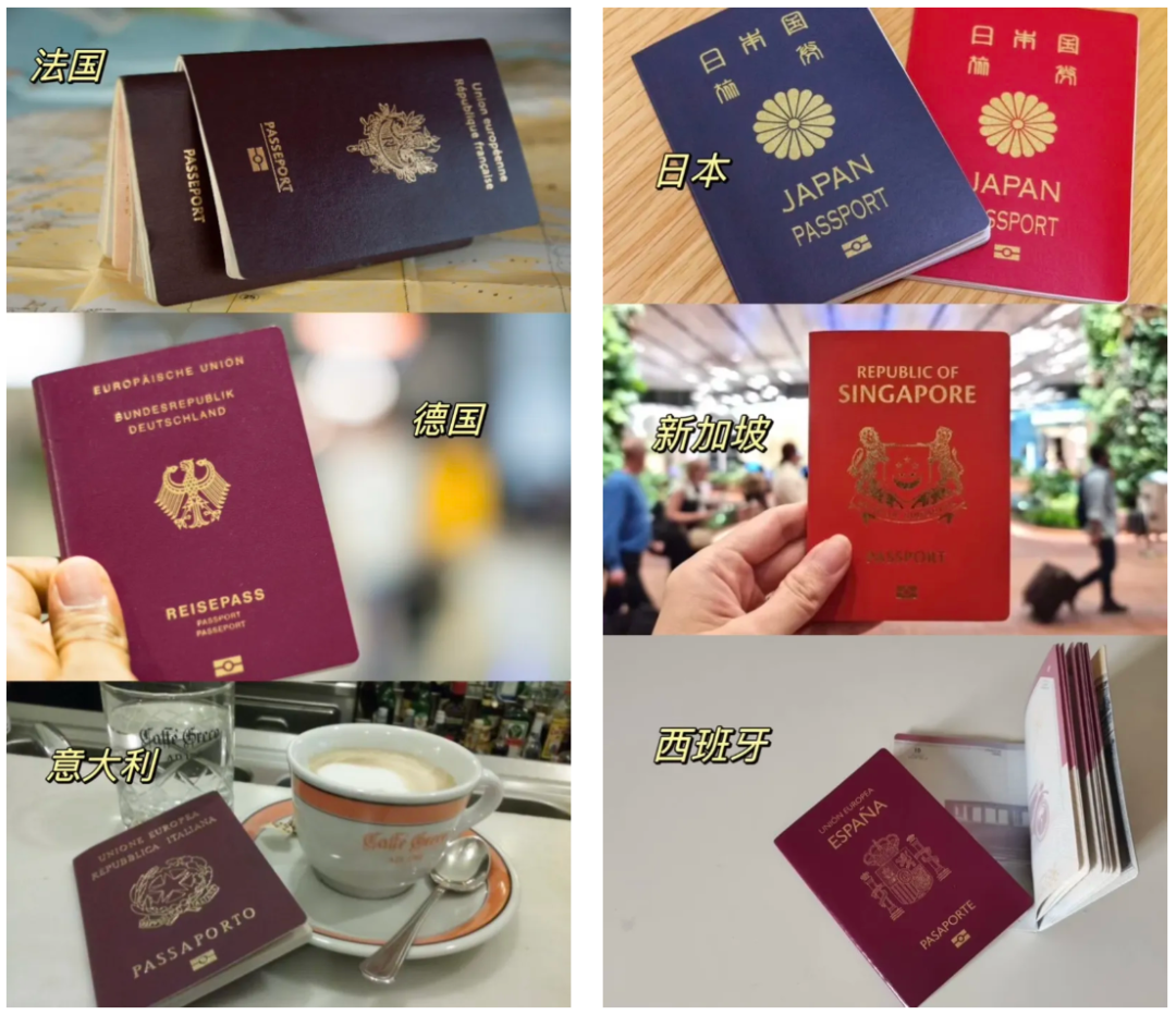 世界第6！全球护照排名出炉，新西兰“小黑本”凭啥这么好用？网友：这些事，来了才知道！