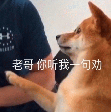 老哥你听我一句劝表情包图片gif动图- 求表情网,斗图从此不求人!