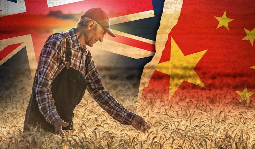 Australia, China trade war ensures mutual destruction - Asia Times