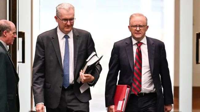 Home Affairs Minister Tony Burke (left) said the department is reviewing Ms Jones' visa while PM Anthony Albanese described the American's act as an 