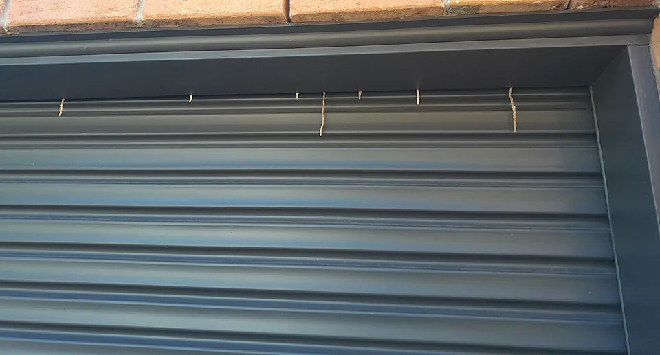 千万当心!澳民宅车库冒出神秘“小白条”,揭露一个可怕真相...(组图) - 3