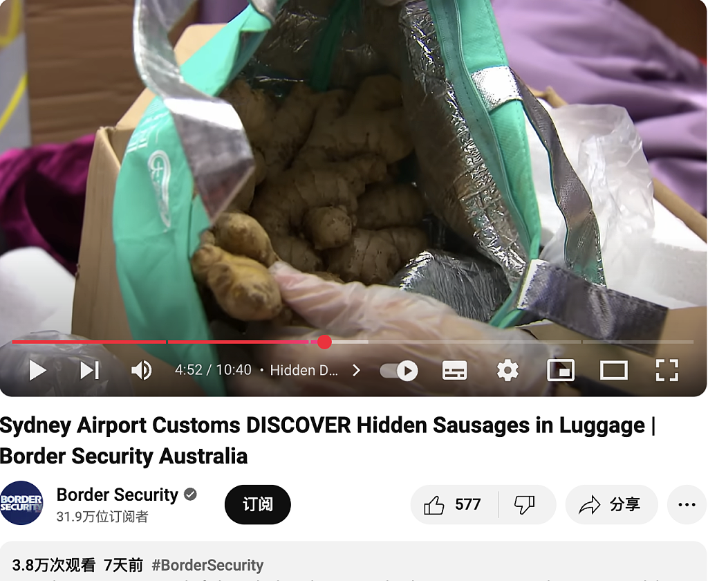 竟然还想偷回！电饭煲里藏生姜，违禁食物摆满台！中国老夫妇悉尼闯关被查，丈夫“神操作”亮瞎眼（视频/组图） - 1