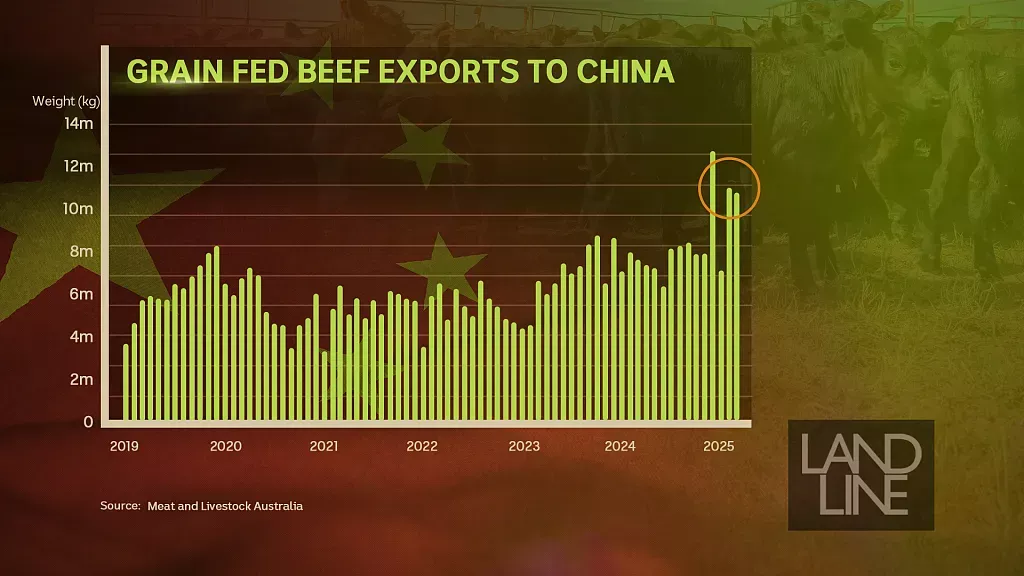 中美关税战白热化，澳洲牛肉迎来新机遇！对华出口激增40%（组图） - 3