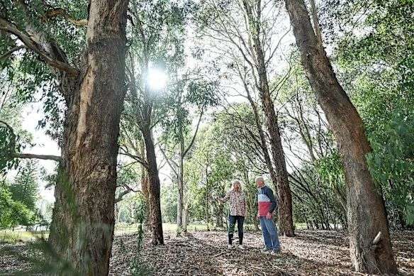 Tammie Zarro and Graham Scott, of the Friends of Gardiners Creek Reserve Burwood, share the concerns of Whitehorse and Monash councils.