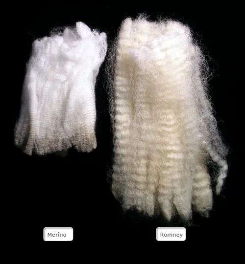 Merino and Romney wool – Sheep farming – Te Ara Encyclopedia of New Zealand