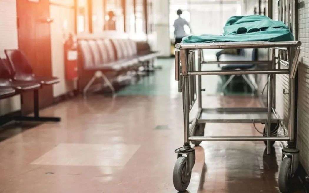 Health NZ disappointed that Association of Salaried Medical Specialists  strike to go ahead | RNZ News