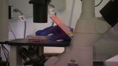 The trial aims to tailor treatment to patients and improve broader outcomes for multiple cancers within our lifetime.