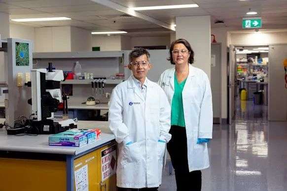 Professor Tri Phan (left) and Dr Mee Ling Munier have made the discovery.