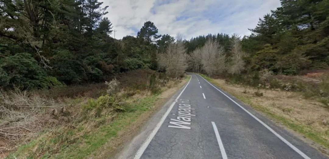 WooKeun Kim pleaded guilty to two counts of careless or inconsiderate vehicle operation - one causing injury and the other causing death following the crash on Waiapa Rd near the Waikato town of Mangakino. Photo / Google