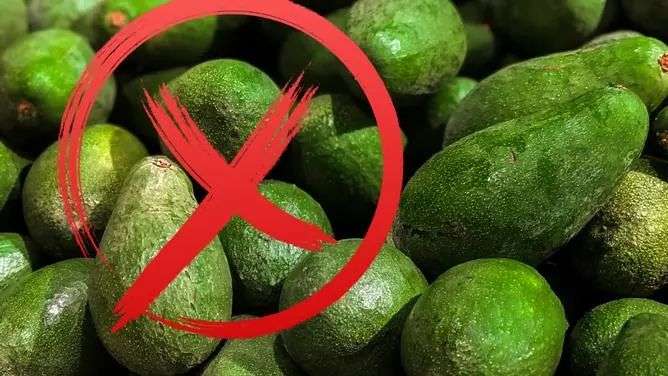 Why the Shepard avocado is the worst and should be banned from supermarket  shelves | PerthNow
