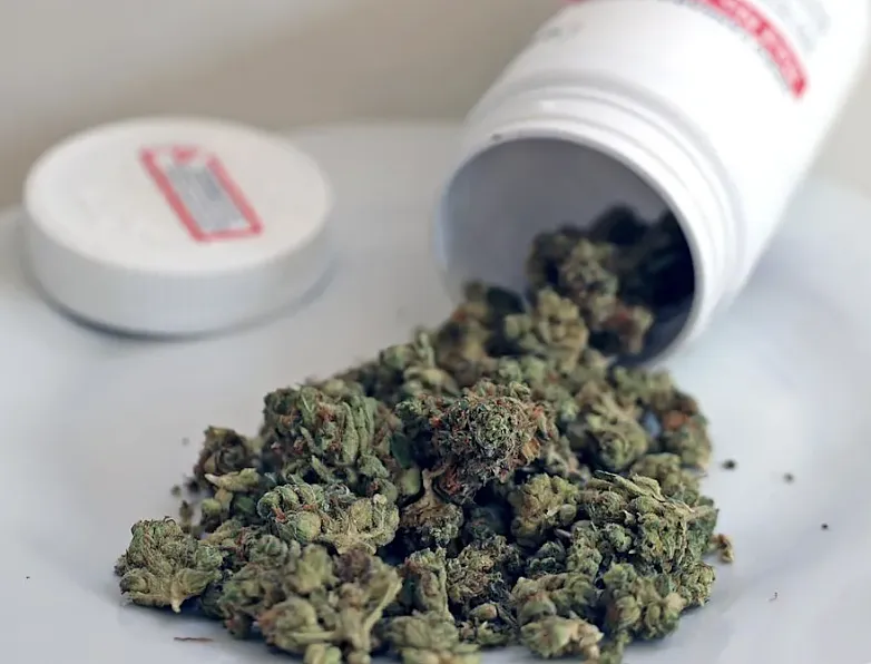 治疗还是驾照？为医用大麻患者发声，呼吁新州重新审视毒驾法律（组图） - 4
