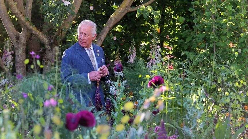 A man in a suit looks on, surrounded by flowers.