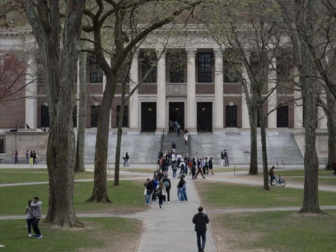 Fear on campus: Harvard's international students in 'mass panic' over Trump  move | Harvard University | The Guardian