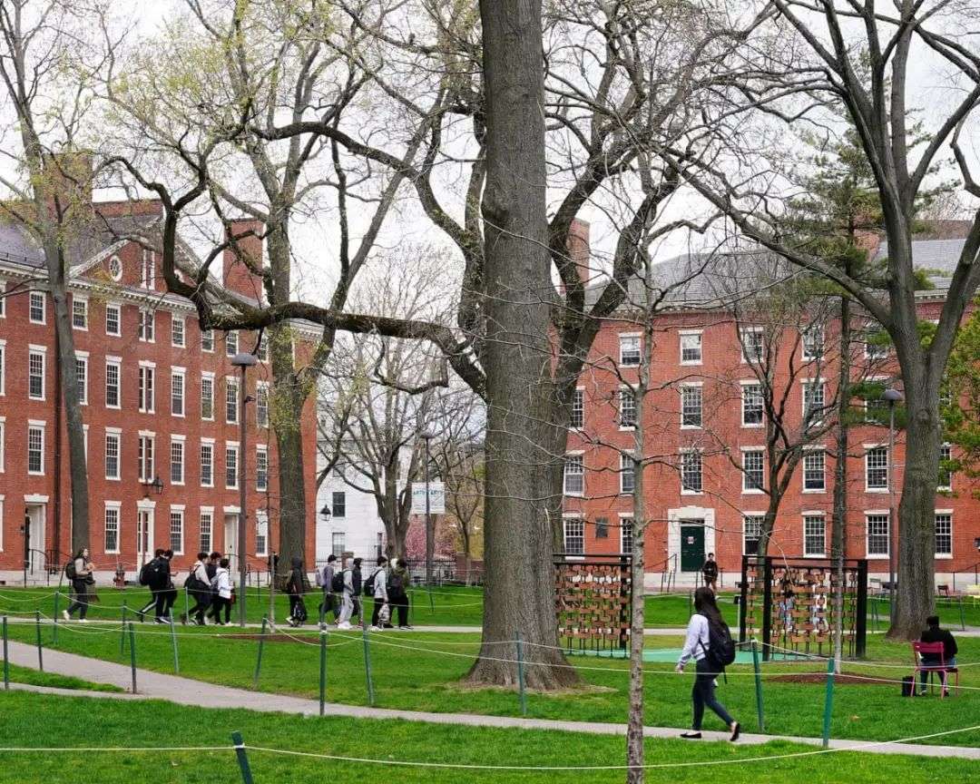 British students at Harvard report 'growing anxiety' over US government  attacks | Harvard University | The Guardian