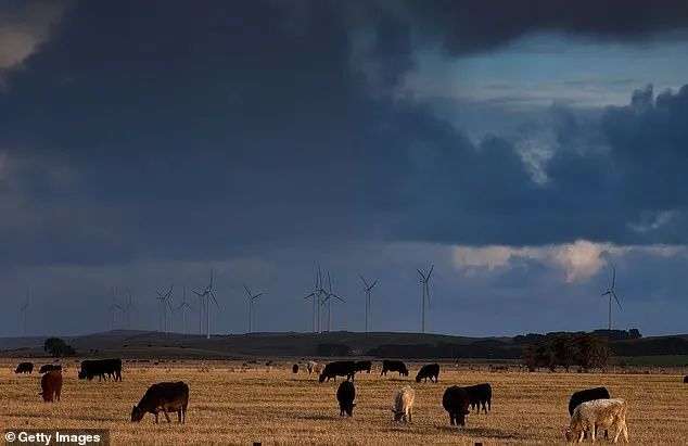 The wind farm produced the amount of energy required to power up to 10,000 Victorian homes
