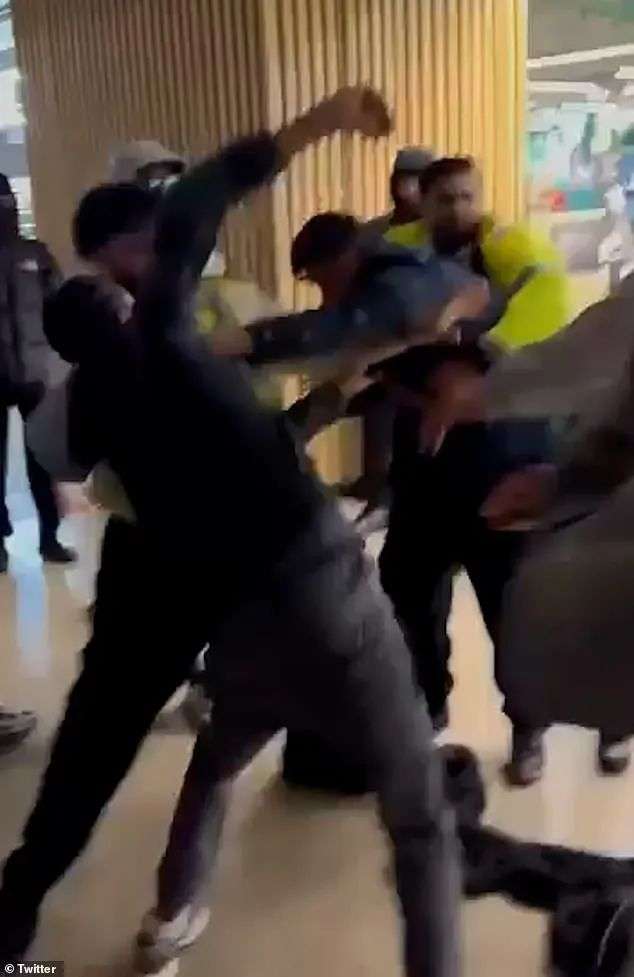 This is the moment a mass brawl broke out between a group of shoppers who were trying to get their hands on the viral Labubu 'monsters' toys