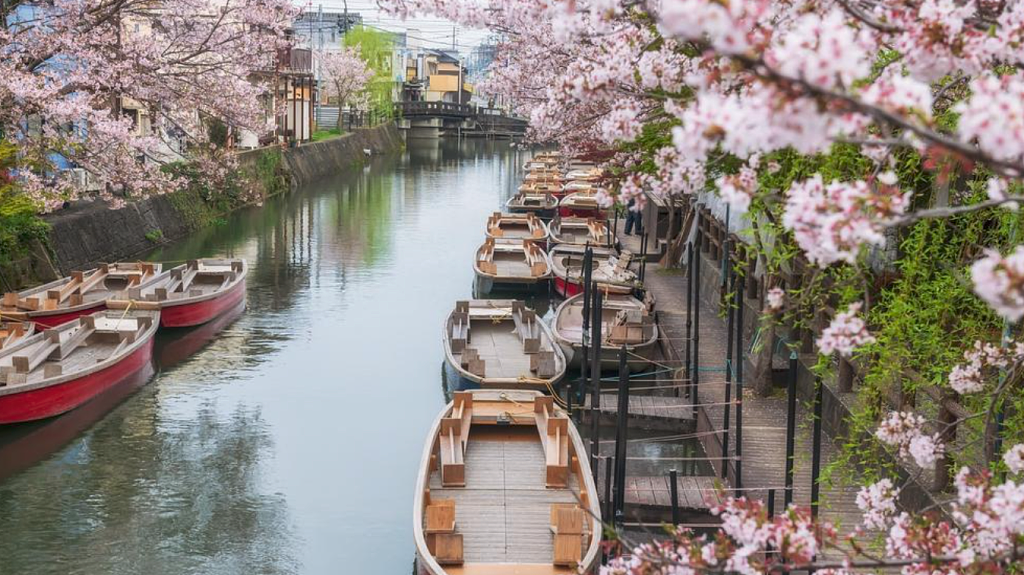 日本成澳人最爱海外度假地，巴厘岛只排在第二（组图） - 2