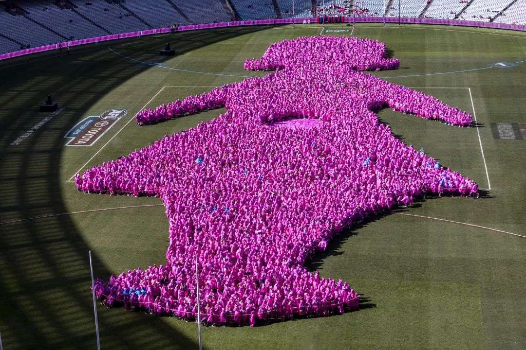 Breast Cancer Network Australia - Include A Charity