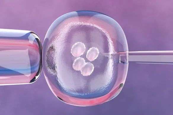 It is the second Monash IVF bungle admitted this year.