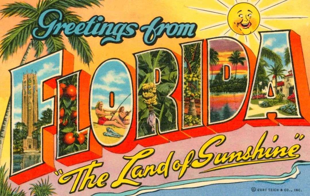 Greetings from (Warm, Sunny) Florida | FLY BROTHER