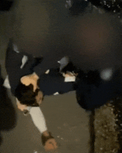 chrome-capture-2025-6-13.gif,0