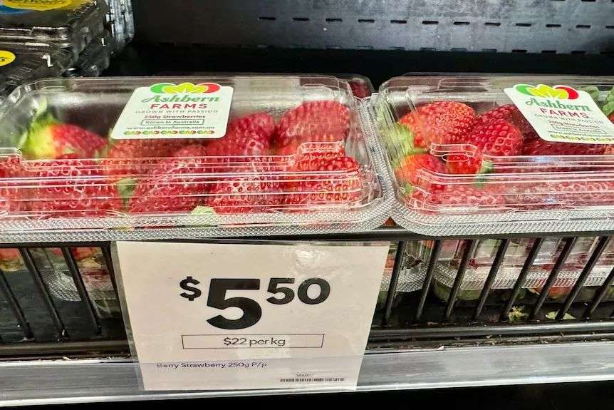 Punnets of strawberries priced at $5.50 each.