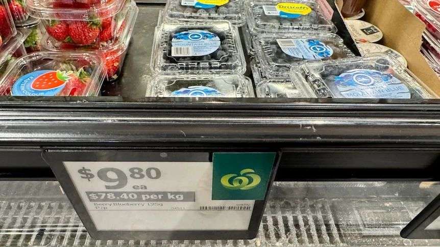 A punnet of blueberries priced at $9.80 for 125 grams in Southbank, Brisbane last week.
