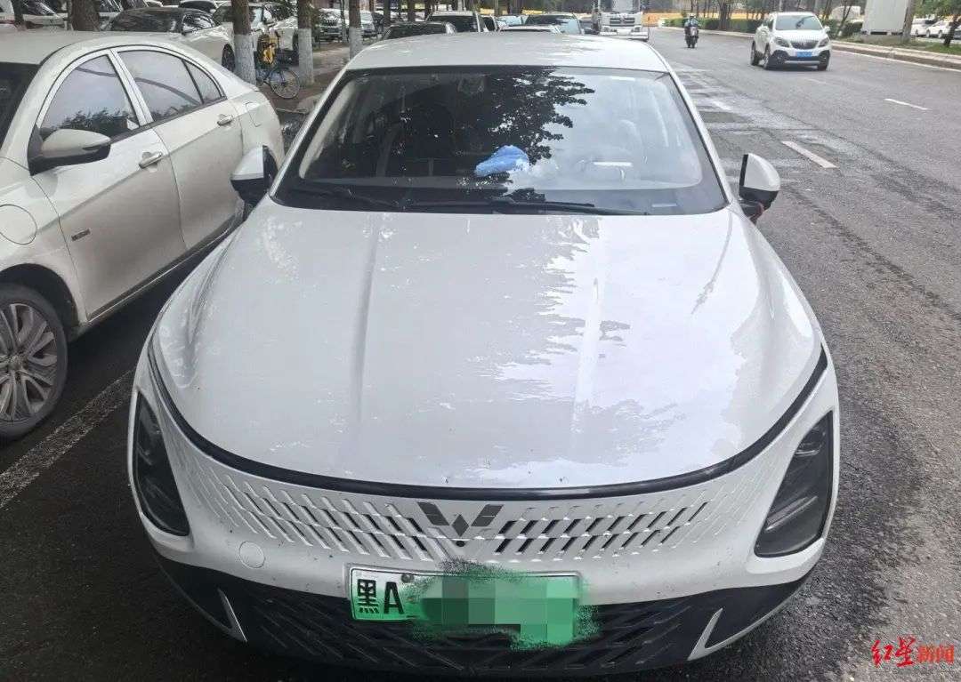 e24c2c2e6a0f97b488e964e19dd37e_副本_副本.jpg