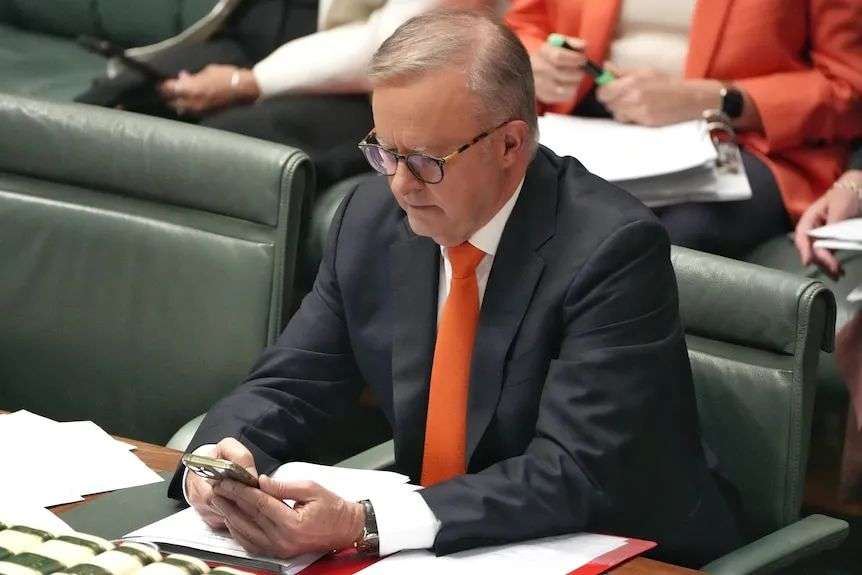 Anthony Albanese uses his phone on the floor of the House of Represenatives.