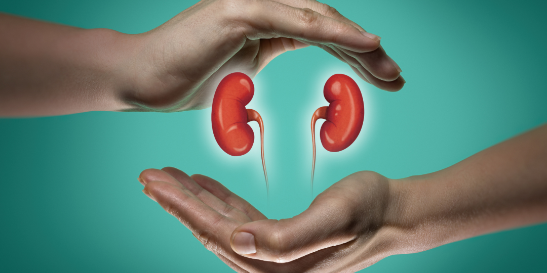 Five Promising Developments to Celebrate During National Kidney Month