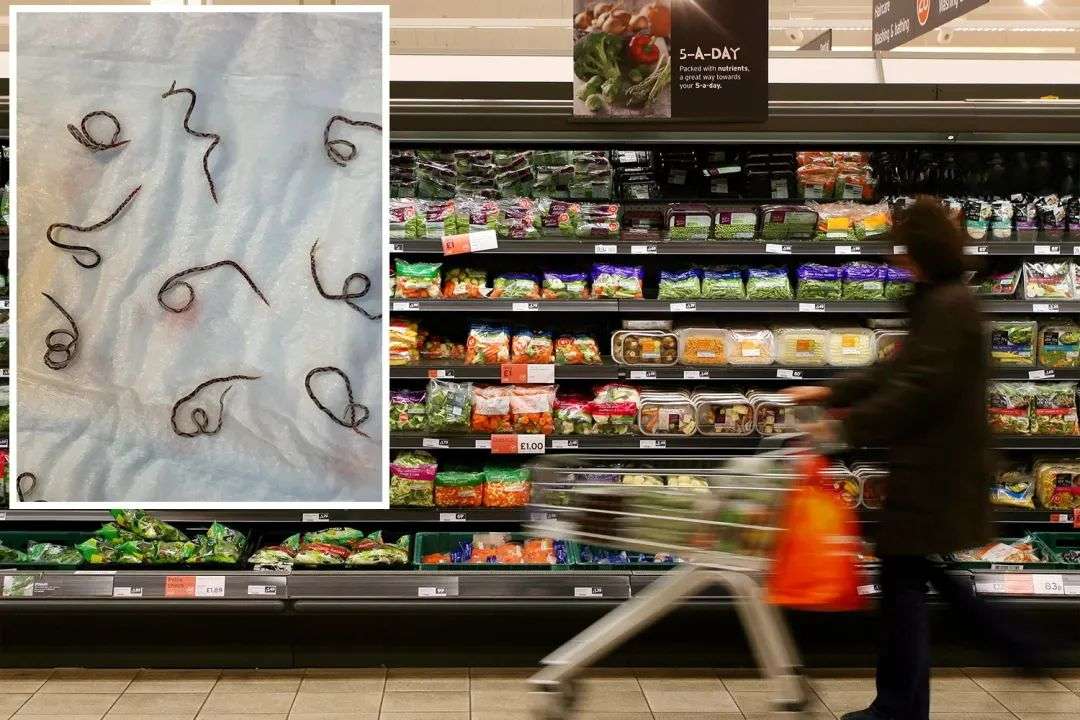 Background: A shopper walking past the fresh food section in a supermarket. Inset: Female rat lungworms.