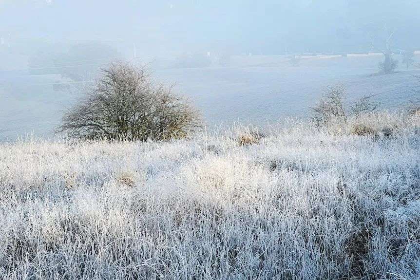 snow covered fields in new south wales oberon