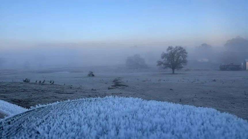 Frost settles at dawn in Wattle Flats New South Wales