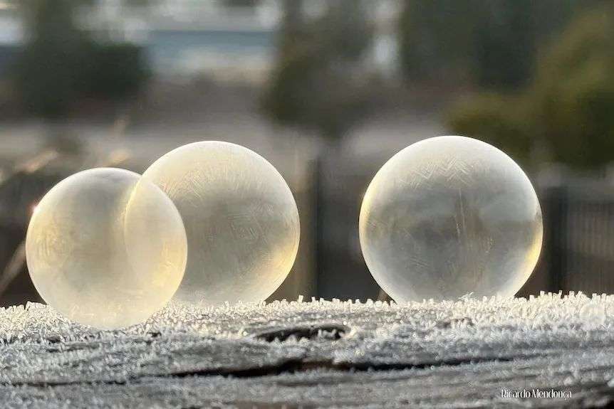 Close-up of three opaque ice balls on a ledge