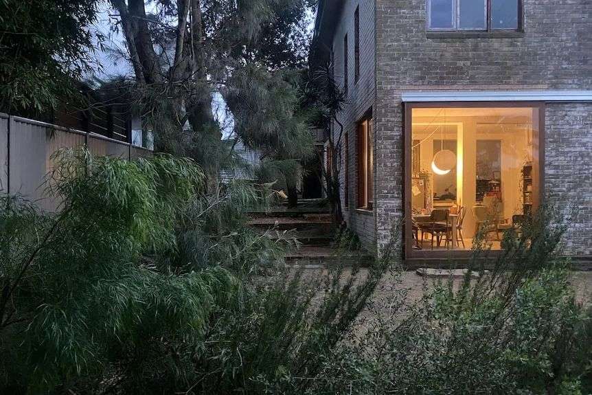 a large window in a brick building looks into a bushy backyard