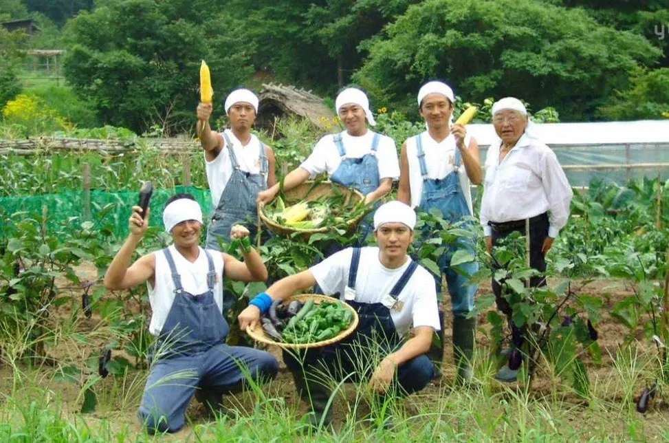 圖片