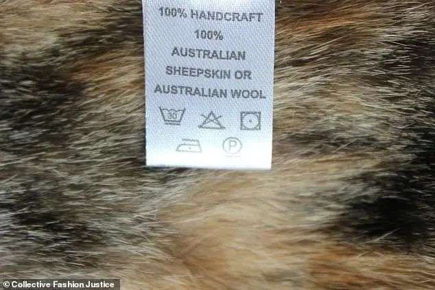 The children's vest was illegally mislabelled as '100 per cent Australian sheepskin or Australian wool' (pictured)
