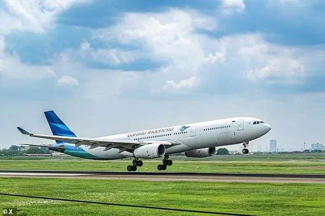 Garuda Indonesia suspended the entire crew of flight GA716 following a complaint from a passenger that his phone had been stolen while onboard (stock)