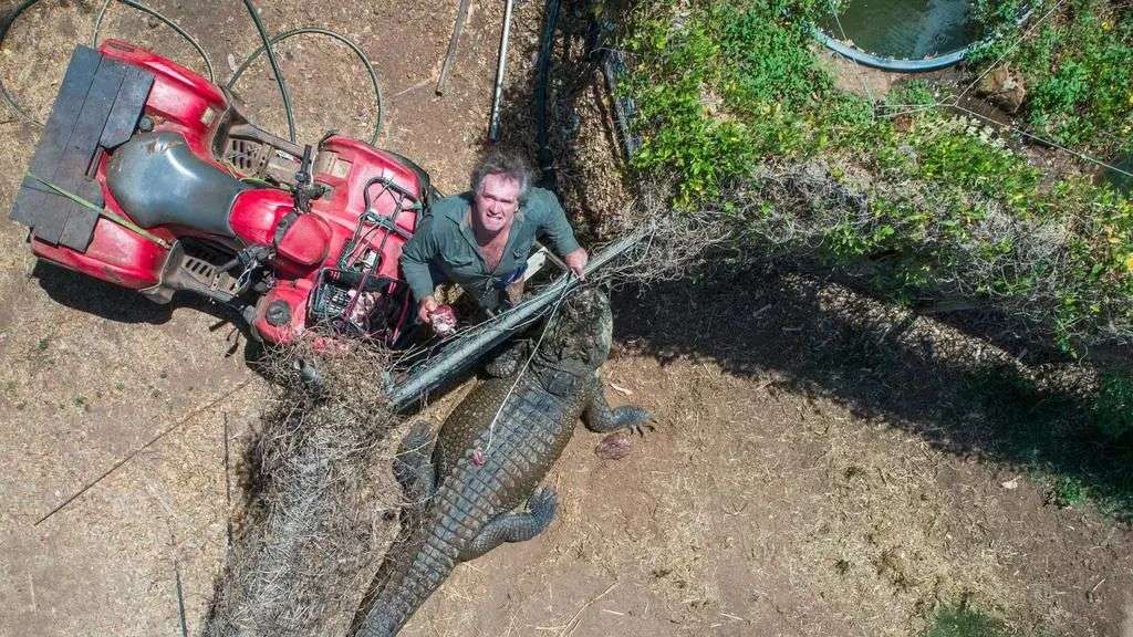 Croc Story