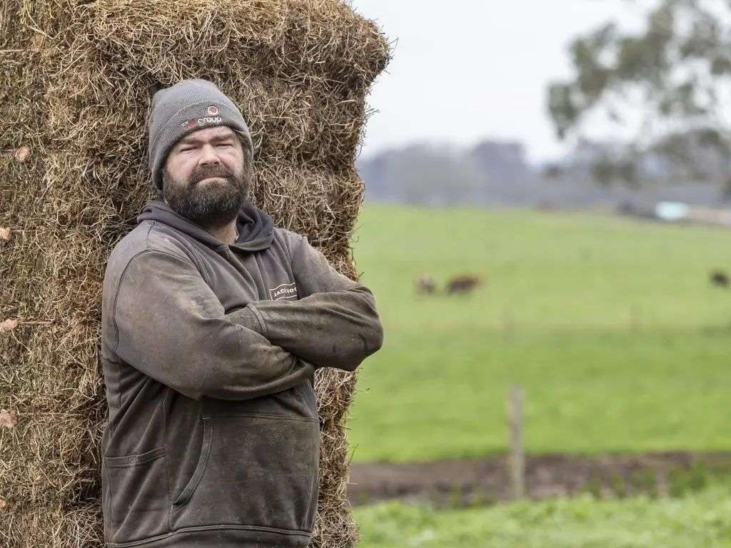 Southwest Victoria's green drought costing dairy farmers including Jason  Smith thousands of dollars | The Weekly Times
