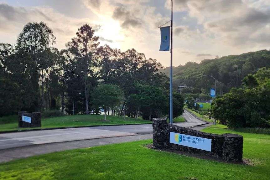 A university monument sign next to a road which leads down a hill past green grass and native trees.