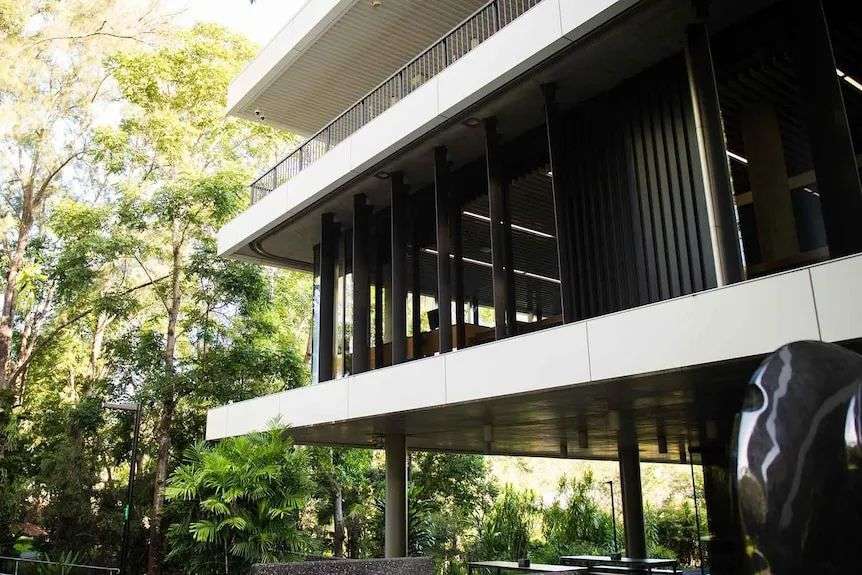 紧靠大树的一栋低层建筑