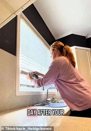 Don't forget to clean the window tracks
