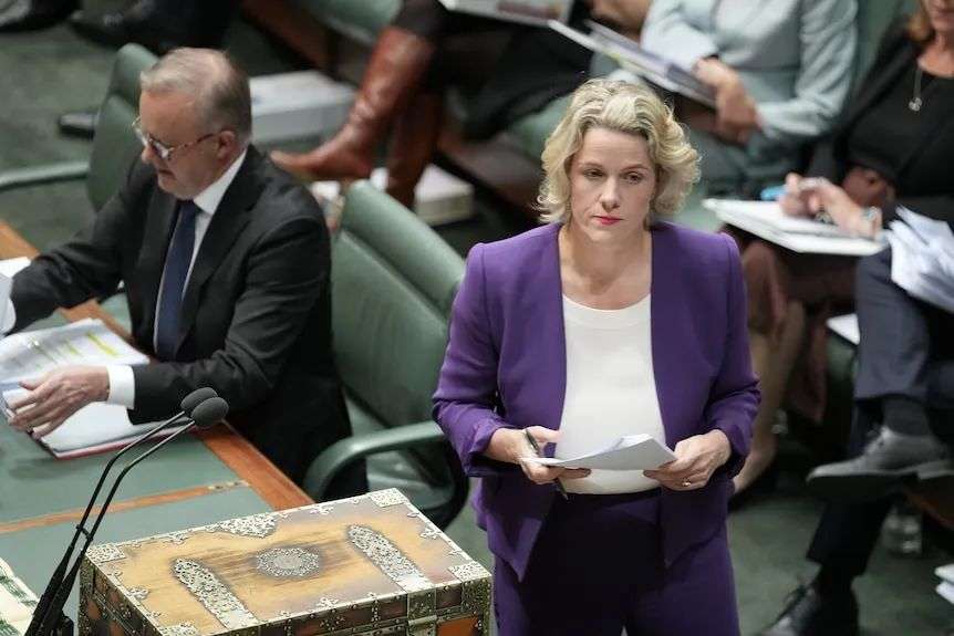 A woman in a purple blazer standing in parliament.