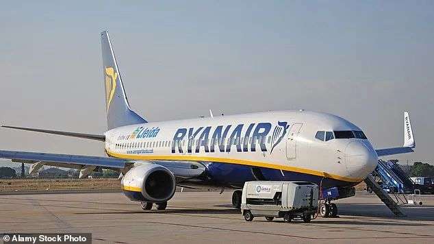 Though the pair were assured that a refund would be processed for one of the tickets, Scott claims he has still not received it or heard from Ryanair (file image)