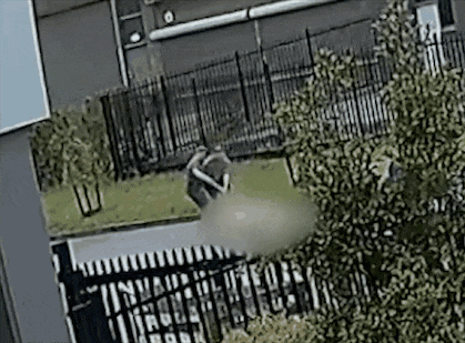 悉尼警员当街殴打裸女，拍视频炫耀！受害者患精神疾病，下体被喷辣椒水，惨遭踹头拖行（视频/组图） - 2