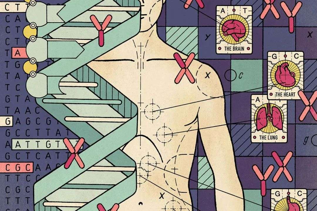 New Scientist. Science news and long reads from expert journalists, covering developments in science, technology, health and the environment on the website and the magazine.