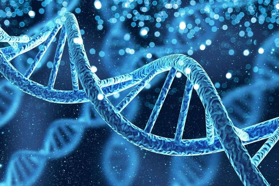 DNA can be used for computation